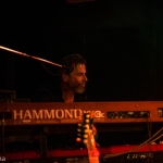 20160409_Halle_Reichenbach_Lizard-11