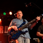 20160409_Halle_Reichenbach_Lizard-23