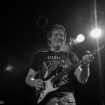 20160409_Halle_Reichenbach_Lizard-25