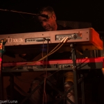 20160409_Halle_Reichenbach_Lizard-9